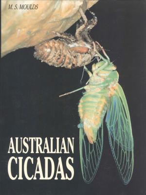 Australian Cicadas - Maxwell Sydney Moulds Australian Cicadas - Maxwell Sydney Moulds