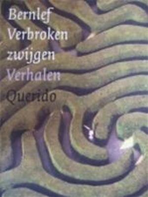 Verbroken zwijgen - Bernlef