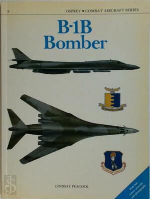 B-1B bomber - Lindsay T. Peacock
