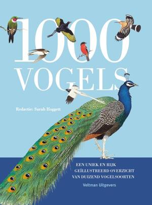 1000 vogels - Sarah Hoggett 1000 vogels - Sarah Hoggett