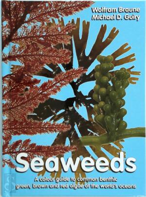Seaweeds - Wolfram Braune Seaweeds - Wolfram Braune