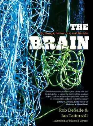Brain : big bangs, behaviors, and beliefs - Rob Desalle Brain : big bangs, behaviors, and beliefs - Rob Desalle