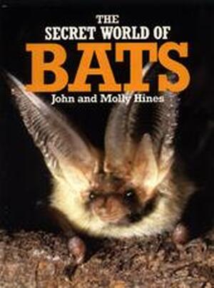 The Secret World of Bats - John Hines, Molly Hines