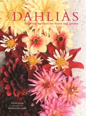 Dahlias - Georgianna Lane Dahlias - Georgianna Lane