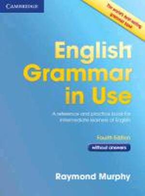 English Grammar In Use Book Without Answers Raymond Murphy Isbn 9780521189088 De Slegte