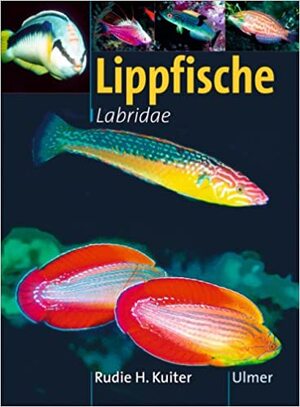 Lippfische - Rudie H. Kuiter Lippfische - Rudie H. Kuiter