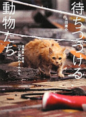 待ちつづける動物たち - 太田康介 待ちつづける動物たち - 太田康介