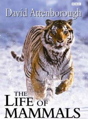 The Life of Mammals - David Attenborough