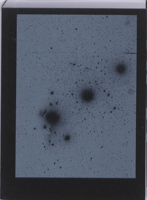 First Light - Saskia Asser, Hein Henrichs