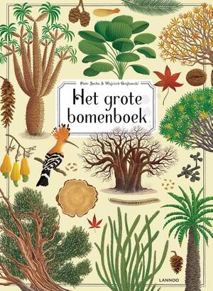 Bomen - Piotr Socha, Wojciech Grajkowski Bomen - Piotr Socha, Wojciech Grajkowski