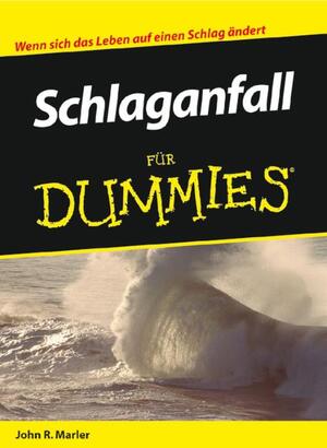 Schlaganfall für Dummies - John R. Marler Schlaganfall für Dummies - John R. Marler