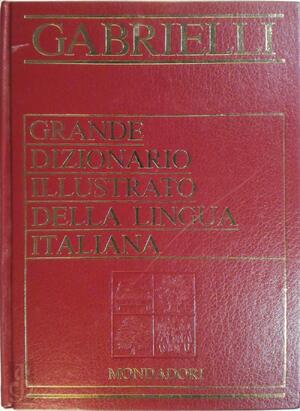 Grande Dizionario illustrato della lingua Italiana A - L M-z - Aldo Gabrielli
