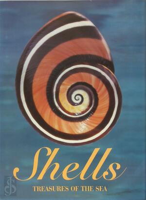 Shells - Leonard Hill