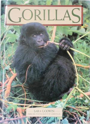 Gorillas - Sara Godwin