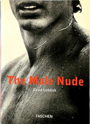 The Male Nude - David Leddick