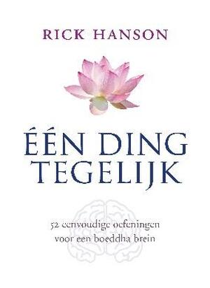 Een ding tegelijk - Rick Hanson Een ding tegelijk - Rick Hanson