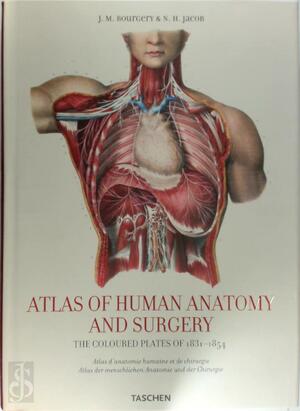 Atlas of human anatomy and surgery - J.M. Bourgery, N.H. Jacob