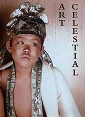 Celestial art - C. Pepplinghuizen, F. L. / Haks Haks