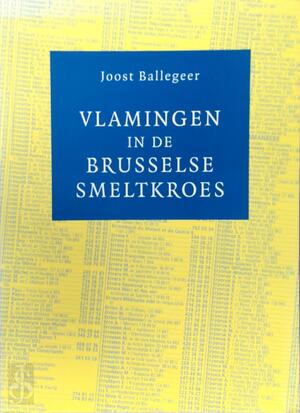 Vlamingen in de Brusselse smeltkroes - Joost Ballegeer
