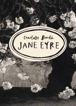 Vintage classics bronte series Jane eyre - Charlotte Bronte Vintage classics bronte series Jane eyre - Charlotte Bronte