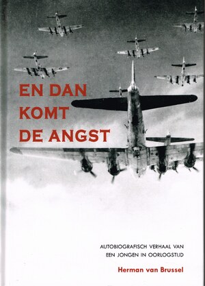 En dan komt de angst - Herman van der Brussel