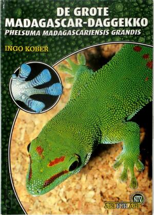 De Grote Madagascar-Daggekko - Ingo Kober