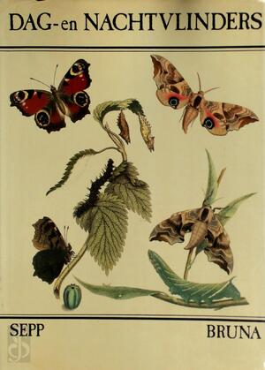 Dag- en nachtvlinders - Sepp