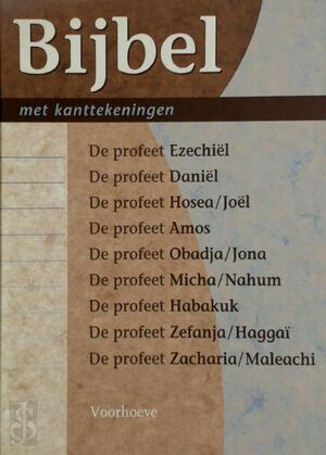 Bijbel met kanttekeningen / 6 De profeet Ezechiel / Daniel / Hosea / Joel / Amos / Obadja / Jona / Micha / Nahum / Habakuk / Zefanja / Haggai / Zacharia / Maleachi - 