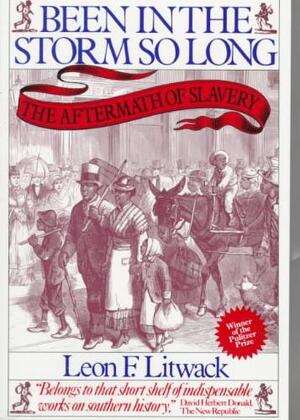 Been in the Storm So Long - Leon F. Litwack