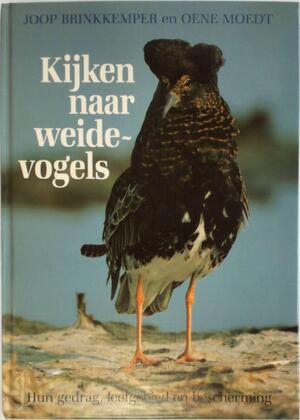 Kijken naar weidevogels - Brinkkemper