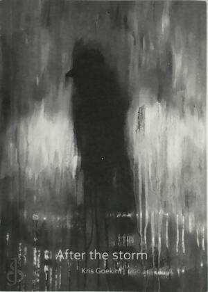 After the storm - Kris Goekint