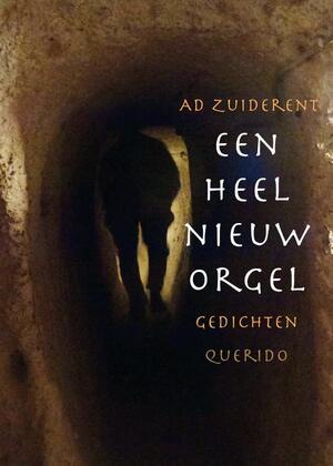Een heel nieuw orgel - Ad Zuiderent