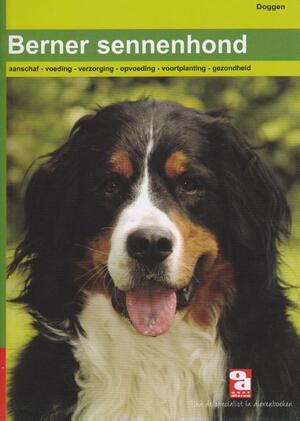 De Berner Sennenhond - 