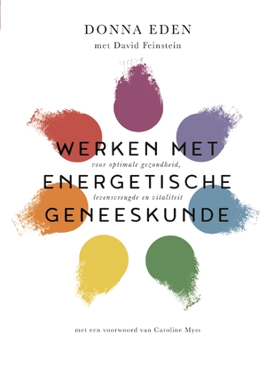 Werken met energetische geneeskunde - Donna Eden
