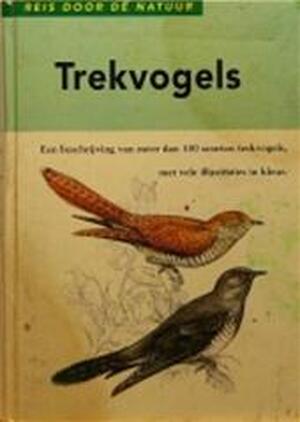 Trekvogels - Vladimír Bejček, Wiebe Stuive