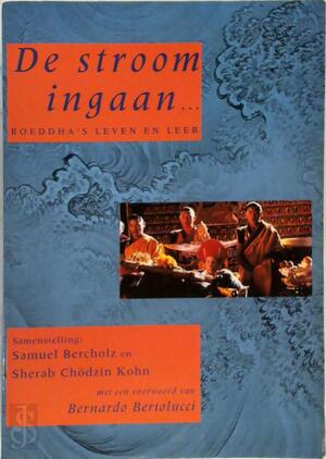 De stroom ingaan - Berholz, Kohn, Bertolucci