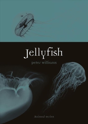 Jellyfish - Peter Williams Jellyfish - Peter Williams
