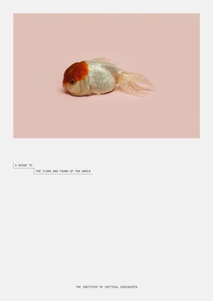 Robert zhao renhui: a guide to the flora and fauna of the world - Robert Zhao Renhui