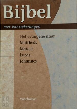 Bijbel - Willem Silvester van Leeuwen