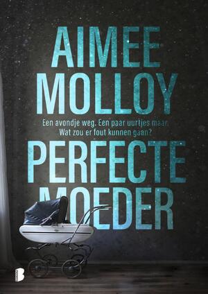 Perfecte moeder - Aimee Molloy Perfecte moeder - Aimee Molloy