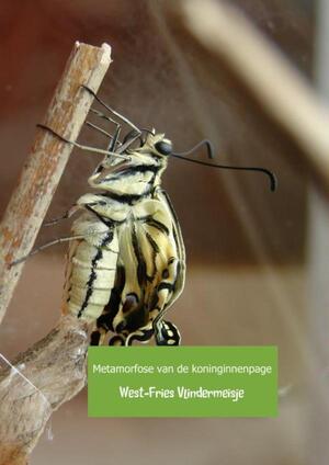 Metamorfose van de koninginnenpage - West-Fries Vlindermeisje Metamorfose van de koninginnenpage - West-Fries Vlindermeisje