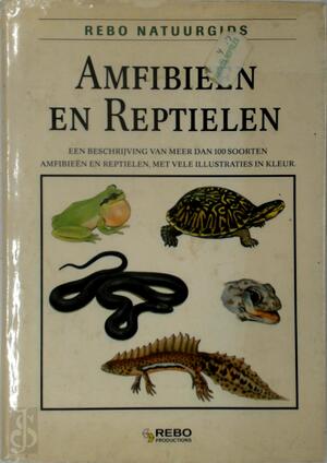 Amfibieen en reptielen - Lanka