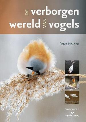 De verborgen wereld van vogels - Peter Holden De verborgen wereld van vogels - Peter Holden