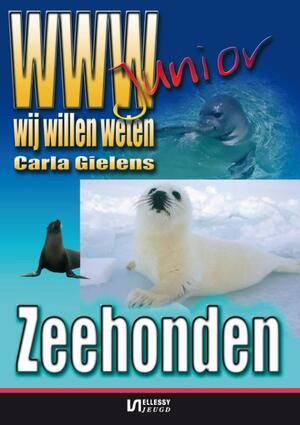Zeehonden - Zeehonden -