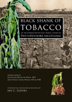 Black shank of tobacco in the former Dutch East Indies, caused by Phytophthora nicotianae - 