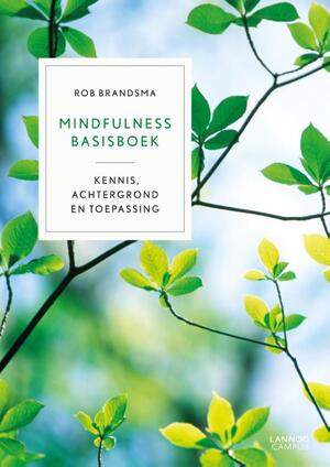 Mindfulness basisboek - Rob Brandsma