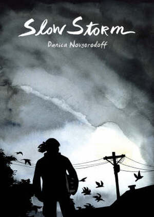 Slow Storm - Danica Novgorodoff Slow Storm - Danica Novgorodoff