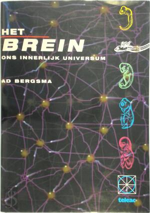 Het brein - Ad Bergsma Het brein - Ad Bergsma
