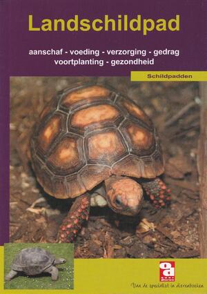 De landschildpad - De landschildpad -
