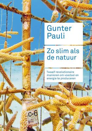 Zo slim als de natuur - Gunter Pauli, Jurriaan Kamp Zo slim als de natuur - Gunter Pauli, Jurriaan Kamp